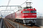 n-IMG_7428.jpg