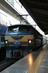 n-IMG_7561.jpg