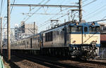 n-IMG_7585.jpg