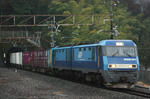 n-IMG_7603.jpg