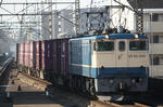 n-IMG_7711.jpg
