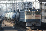 n-IMG_7721.jpg