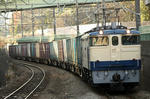 n-IMG_7805.jpg