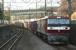 n-IMG_7819.jpg