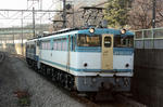n-IMG_7825.jpg