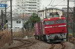 n-IMG_7845.jpg
