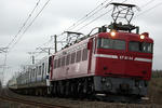 n-IMG_7883.jpg