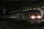 n-IMG_7896.jpg