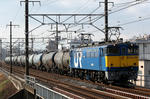 n-IMG_7952.jpg