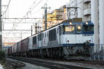 n-IMG_8095.jpg