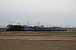 n-IMG_8153.jpg