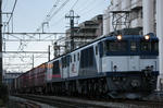 n-IMG_8229.jpg