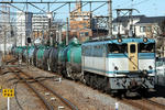 n-IMG_8309.jpg