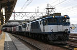 n-IMG_8397.jpg