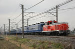 n-IMG_8498.jpg