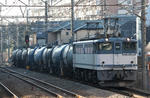n-IMG_8577.jpg