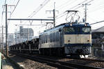 n-IMG_8596.jpg