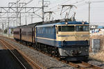 n-IMG_8630.jpg