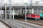 n-IMG_8635.jpg