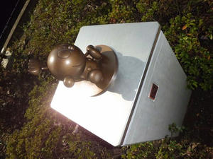 8a00aa78.jpg