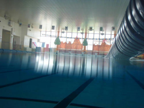 P6150315.JPG