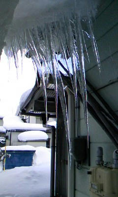 20110125.jpg