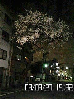 080327_1.jpg