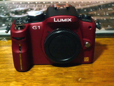 P1010785-1.JPG