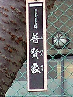 513edf3f.jpeg