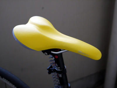 P1000088-1.JPG