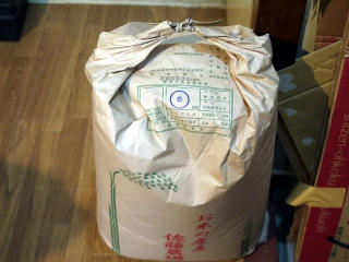 P1000797-1.JPG