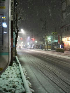 DSC00028-1.jpg