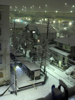 DSC00030-1.jpg