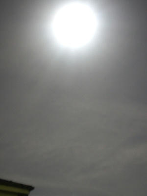 DSC00100-1.JPG