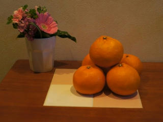 DSC00117-1.JPG