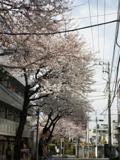 DSC00123-1.JPG