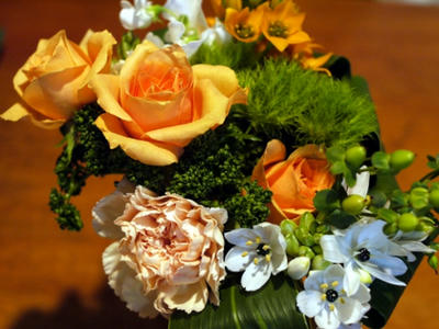 P1000976-1.JPG