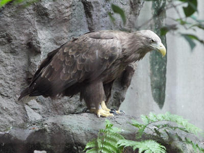 P1010100-1.JPG