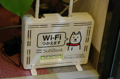IMGP5302-1.JPG