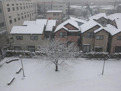 P1010358-1.jpg