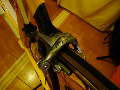 P1030157-1.jpg