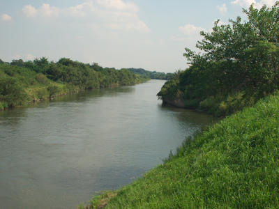 P1010820-1.jpg