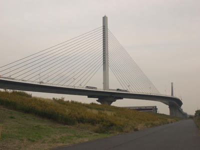 P1010825-1.jpg