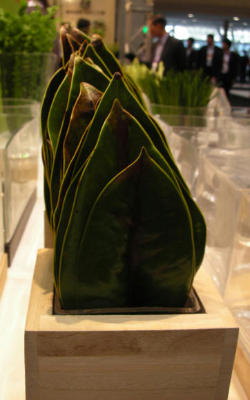 DSCN3873.JPG