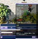 H10.JPG