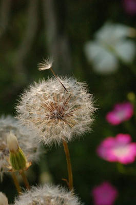 s2009_05260093.jpg