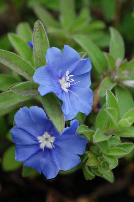 s2009_06050023.jpg
