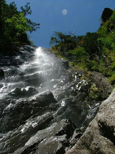 s2009_09190076.jpg