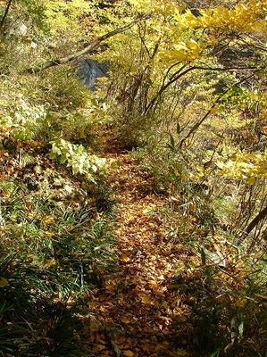 s2009_10310191.jpg