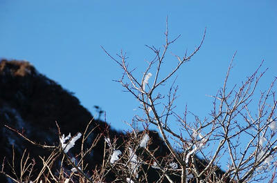 s-DSC_1452.jpg